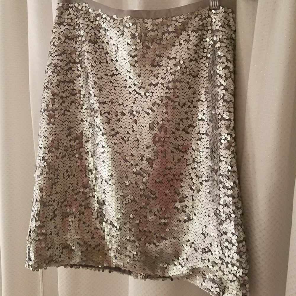 Silver Sequin Skirt